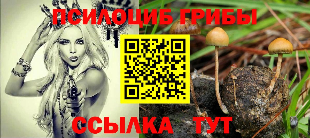 Галлюциногенные грибы мухоморы  Вход с VPN  наркота  Сальск 